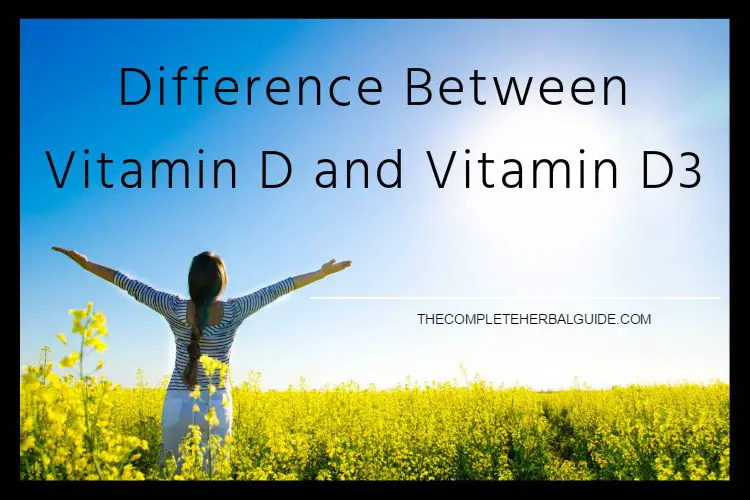 Vitamins &  Minerals