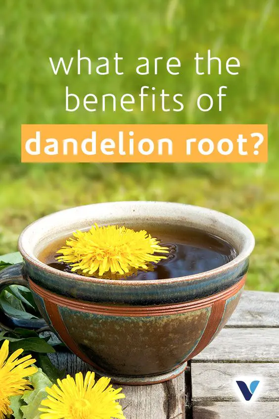 What Are The Benefits Of Dandelion Root?