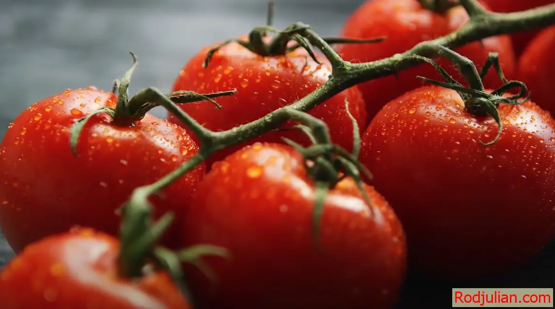 What are the benefits of eating tomatoes every day?
