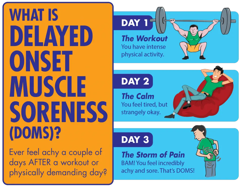 What is DOMS (aka delayed onset muscle soreness) and Supplements to ...