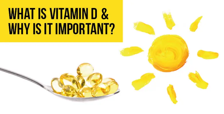 What is Vitamin D &  Why is it important?