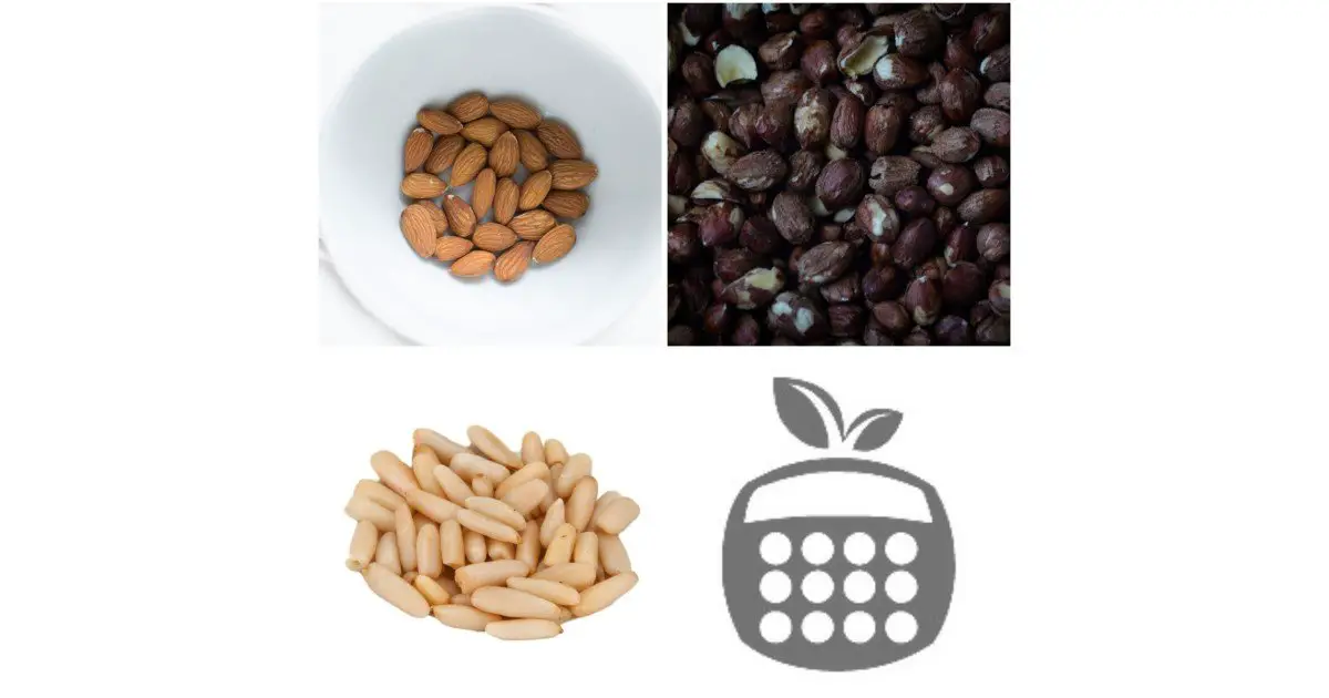 Which nuts are highest in Vitamin E?