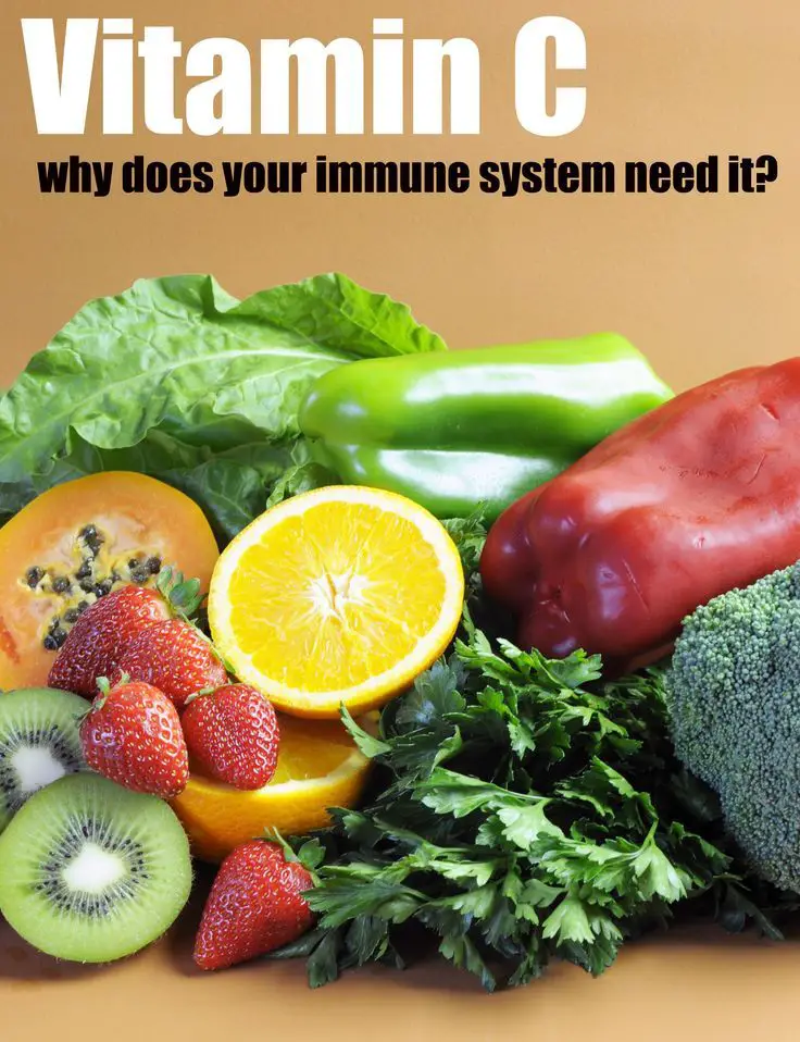 Why Vitamin C is Important for a Healthy Immune System ...